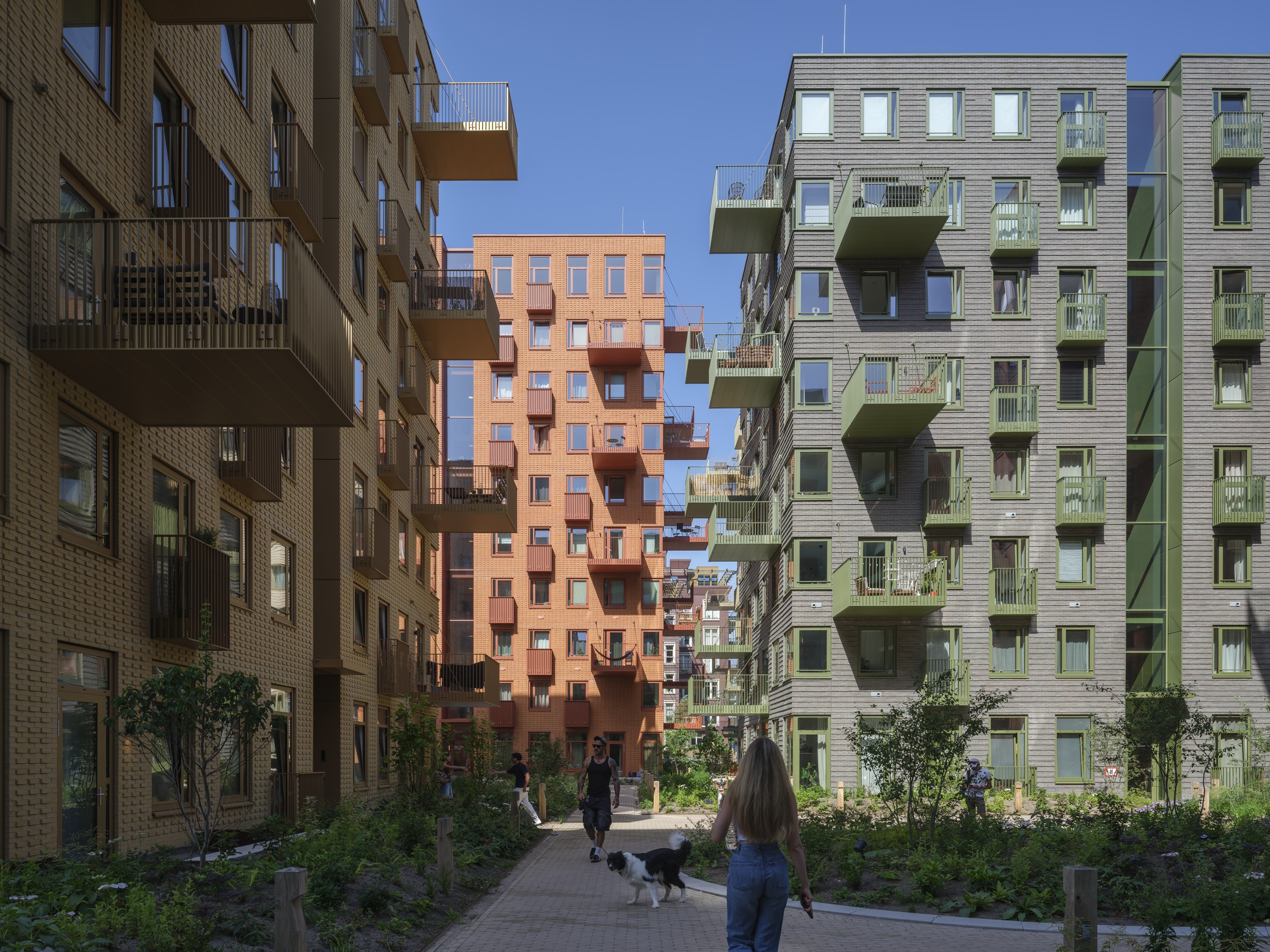 Kruidentuin - Westerpark West